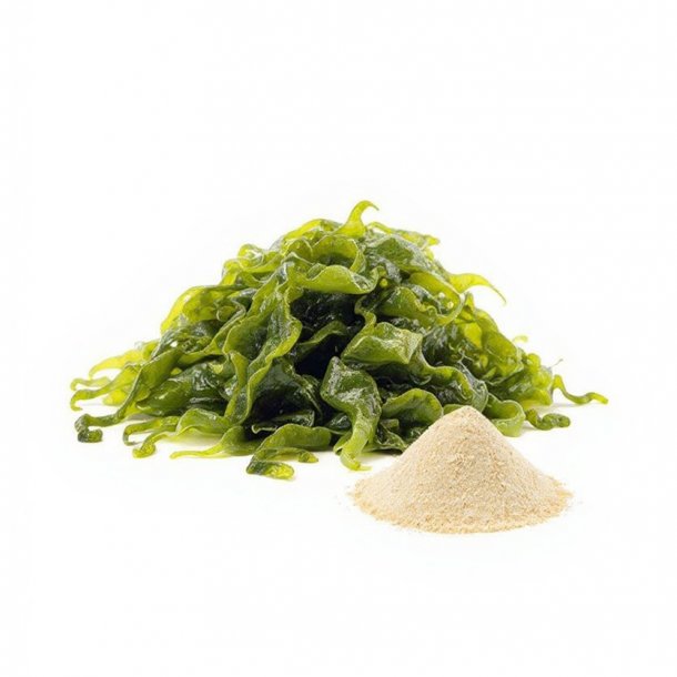 FUCOIDAN