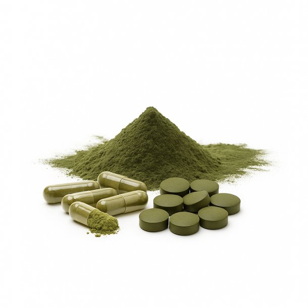 CHLORELLA