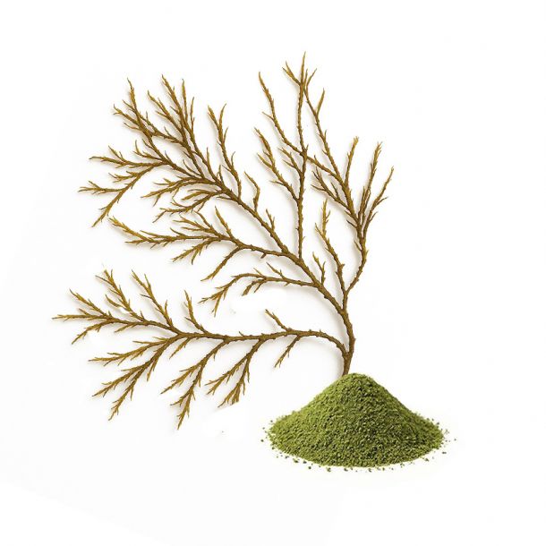 SEAWEED MEAL