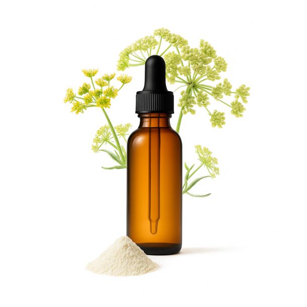 SEA FENNEL